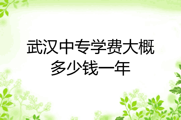 武汉中专学费大概多少钱一年
