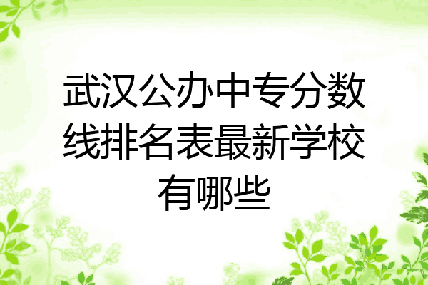 武汉公办中专分数线排名表最新学校有哪些