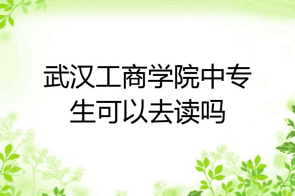 武汉工商学院中专生可以去读吗
