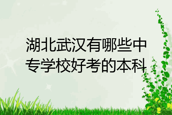 湖北武汉有哪些中专学校好考的本科