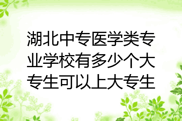 湖北中专医学类专业学校有多少个大专生可以上大专生