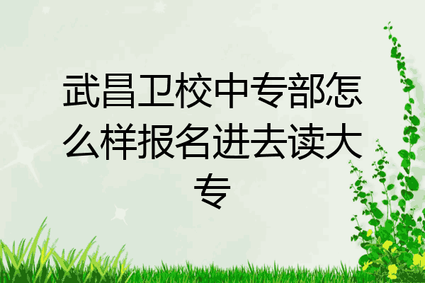 武昌卫校中专部怎么样报名进去读大专