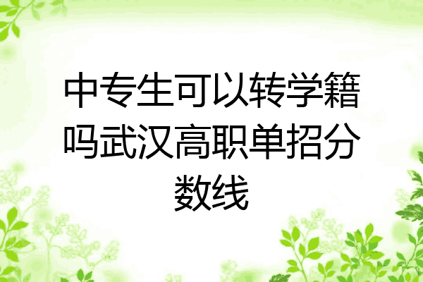 中专生可以转学籍吗武汉高职单招分数线