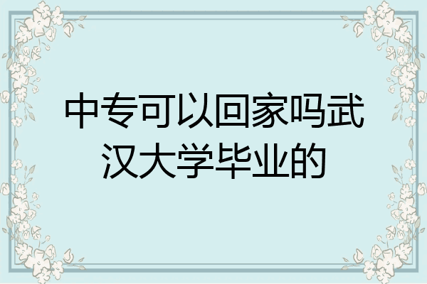 中专可以回家吗武汉大学毕业的