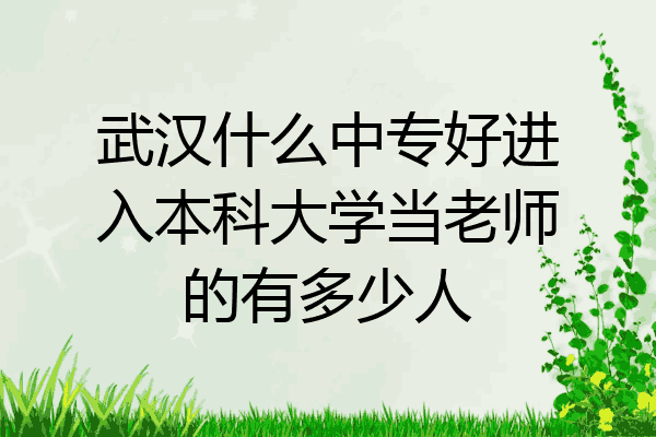 武汉什么中专好进入本科大学当老师的有多少人
