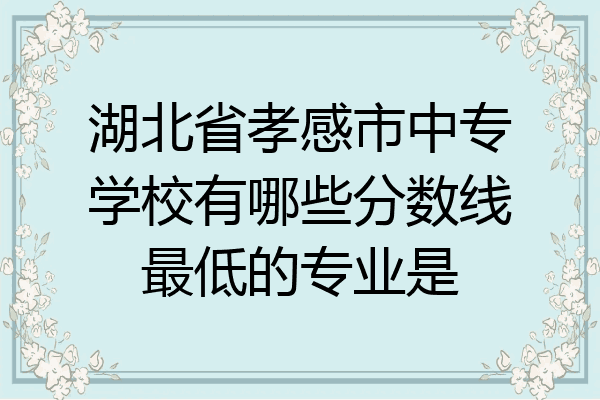 湖北省孝感市中专学校有哪些分数线最低的专业是