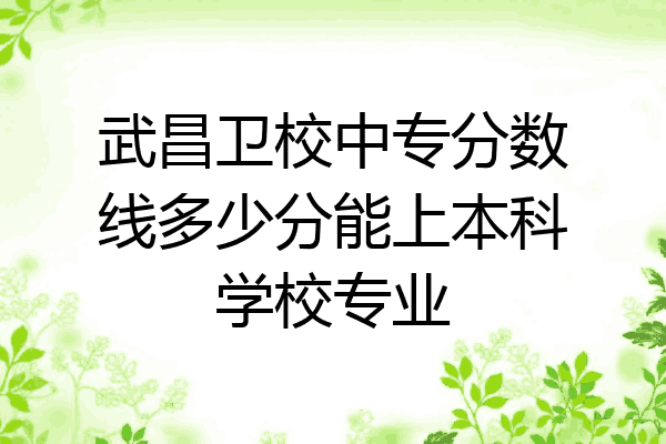武昌卫校中专分数线多少分能上本科学校专业