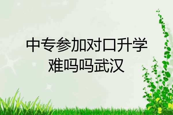 中专参加对口升学难吗吗武汉