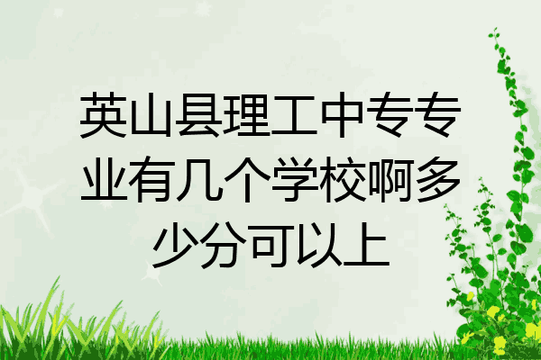 英山县理工中专专业有几个学校啊多少分可以上