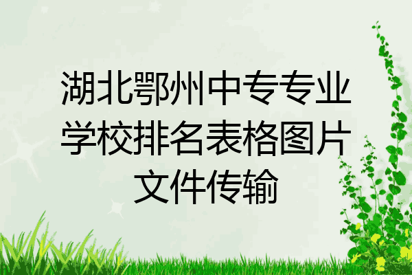 湖北鄂州中专专业学校排名表格图片文件传输