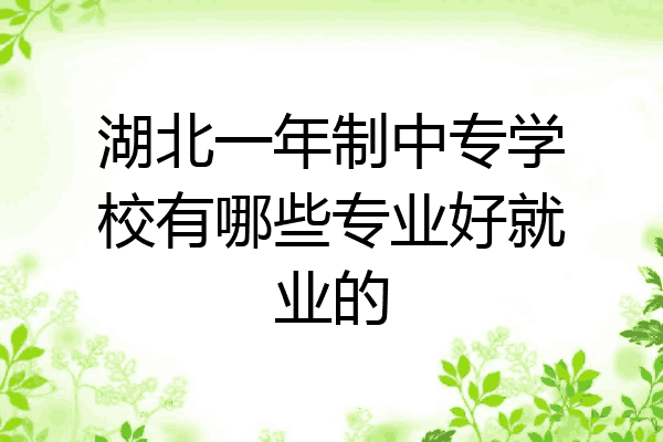 湖北一年制中专学校有哪些专业好就业的