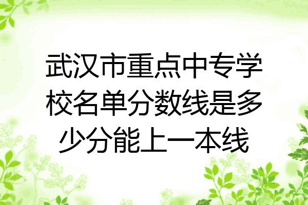 武汉市重点中专学校名单分数线是多少分能上一本线