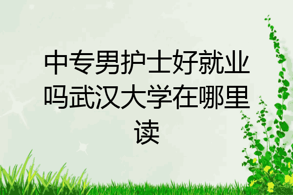中专男护士好就业吗武汉大学在哪里读