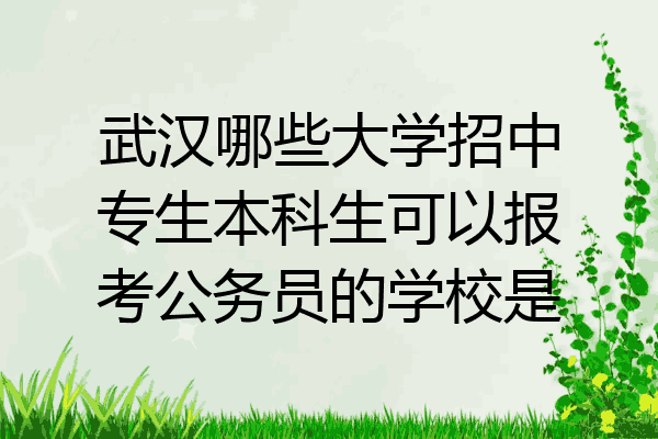 武汉哪些大学招中专生本科生可以报考公务员的学校是