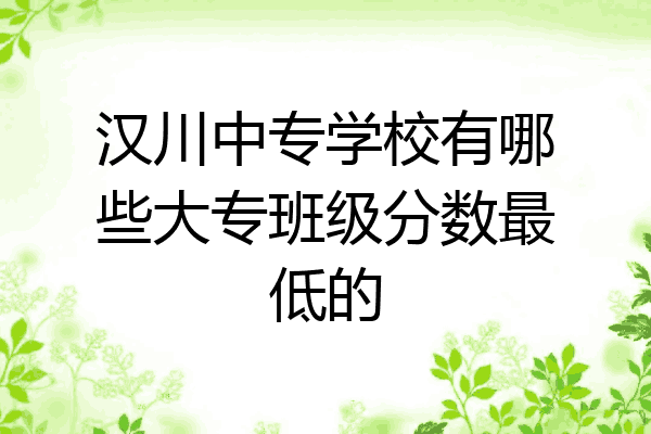 汉川中专学校有哪些大专班级分数最低的