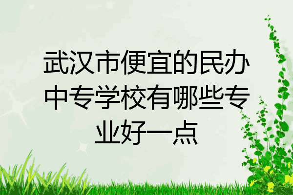武汉市便宜的民办中专学校有哪些专业好一点
