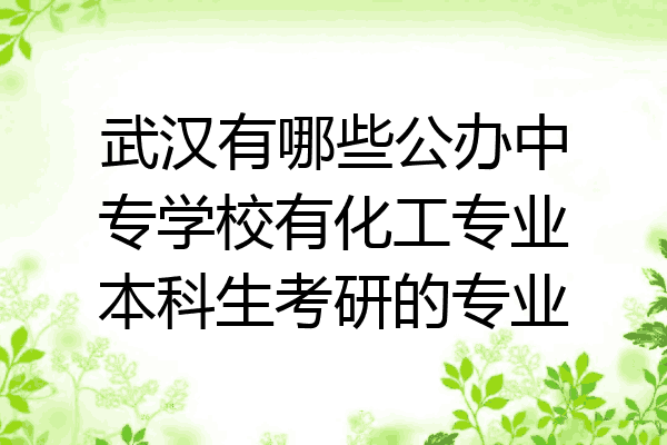 武汉有哪些公办中专学校有化工专业本科生考研的专业