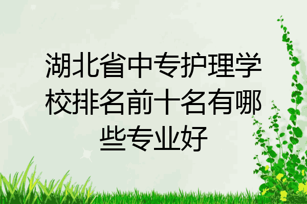 湖北省中专护理学校排名前十名有哪些专业好