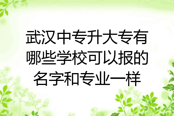 武汉中专升大专有哪些学校可以报的名字和专业一样