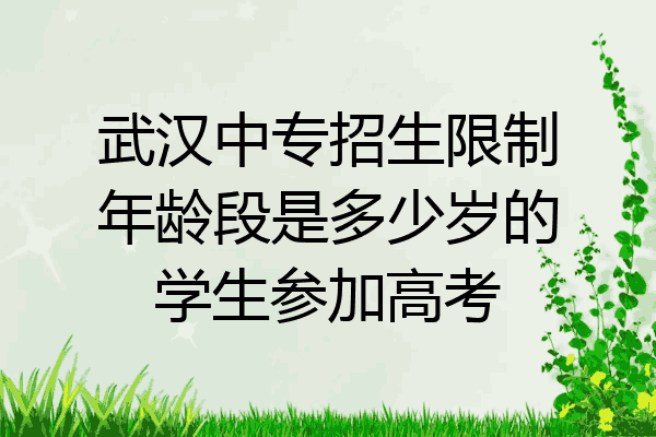 武汉中专招生限制年龄段是多少岁的学生参加高考