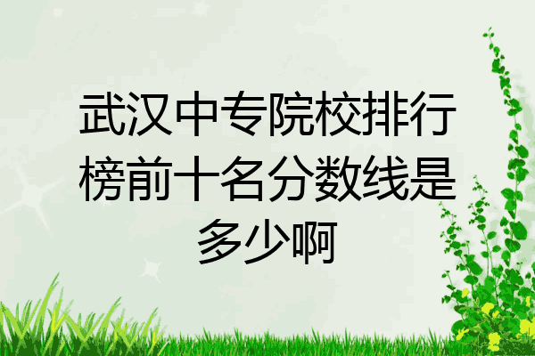 武汉中专院校排行榜前十名分数线是多少啊