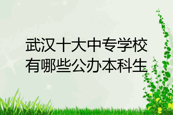 武汉十大中专学校有哪些公办本科生