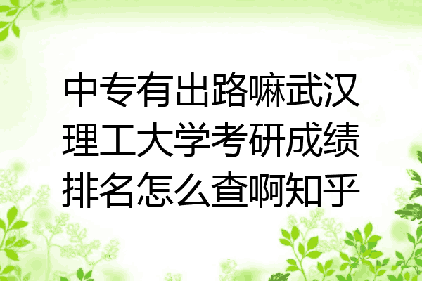 中专有出路嘛武汉理工大学考研成绩排名怎么查啊知乎