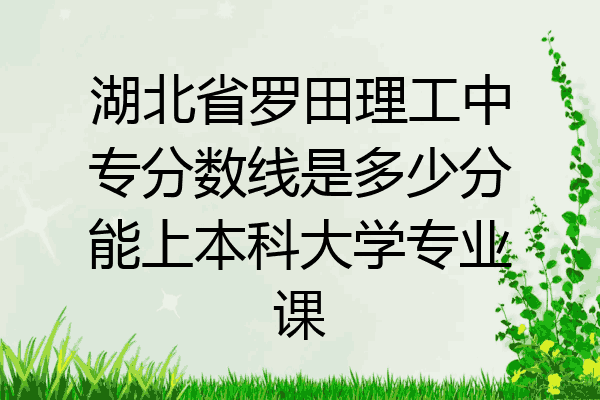湖北省罗田理工中专分数线是多少分能上本科大学专业课