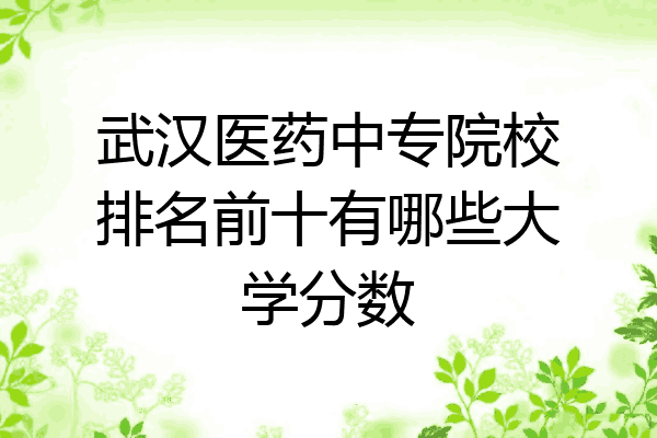 武汉医药中专院校排名前十有哪些大学分数