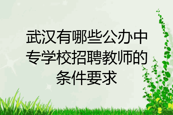 武汉有哪些公办中专学校招聘教师的条件要求