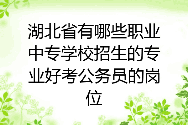 湖北省有哪些职业中专学校招生的专业好考公务员的岗位
