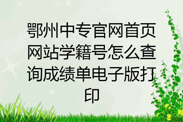 鄂州中专官网首页网站学籍号怎么查询成绩单电子版打印