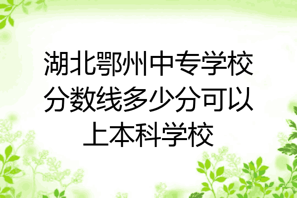 湖北鄂州中专学校分数线多少分可以上本科学校