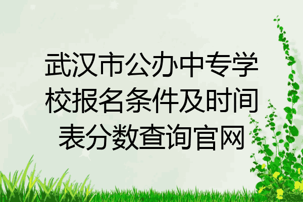 武汉市公办中专学校报名条件及时间表分数查询官网