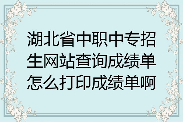 湖北省中职中专招生网站查询成绩单怎么打印成绩单啊