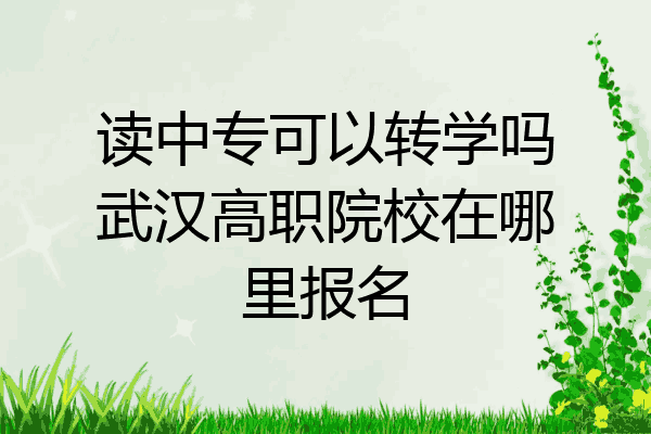 读中专可以转学吗武汉高职院校在哪里报名