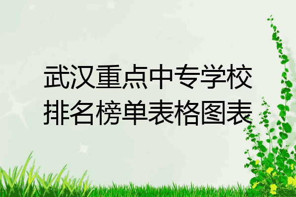 武汉重点中专学校排名榜单表格图表