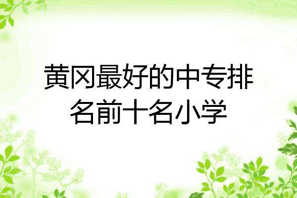 黄冈最好的中专排名前十名小学