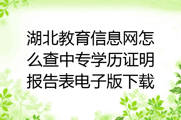 湖北教育信息网怎么查中专学历证明报告表电子版下载