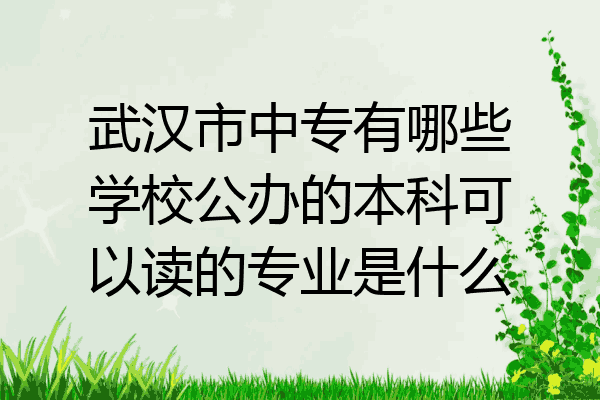 武汉市中专有哪些学校公办的本科可以读的专业是什么