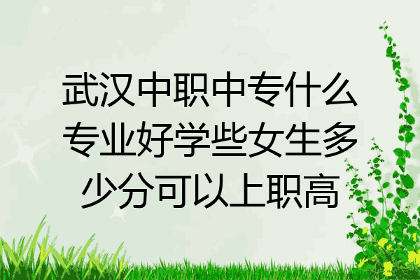 武汉中职中专什么专业好学些女生多少分可以上职高