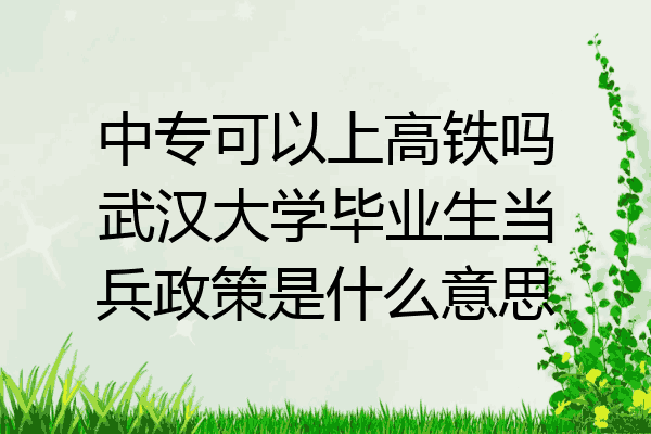中专可以上高铁吗武汉大学毕业生当兵政策是什么意思