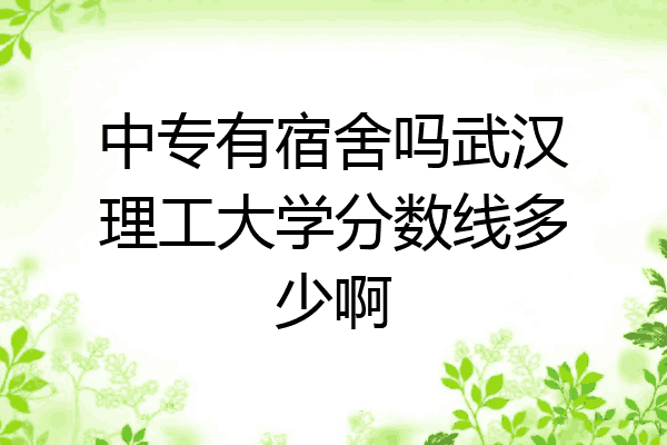 中专有宿舍吗武汉理工大学分数线多少啊