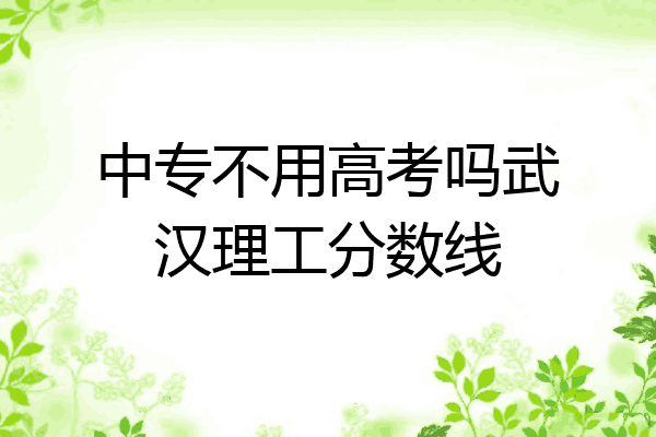 中专不用高考吗武汉理工分数线