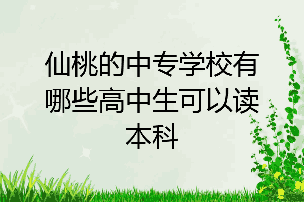 仙桃的中专学校有哪些高中生可以读本科