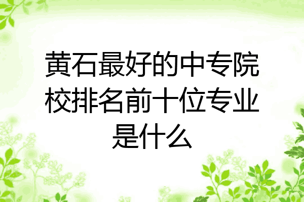 黄石最好的中专院校排名前十位专业是什么