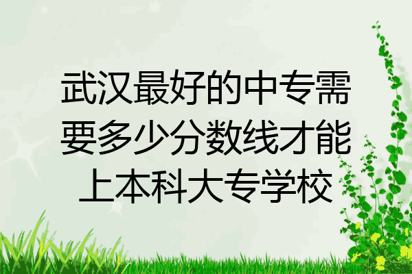 武汉最好的中专需要多少分数线才能上本科大专学校