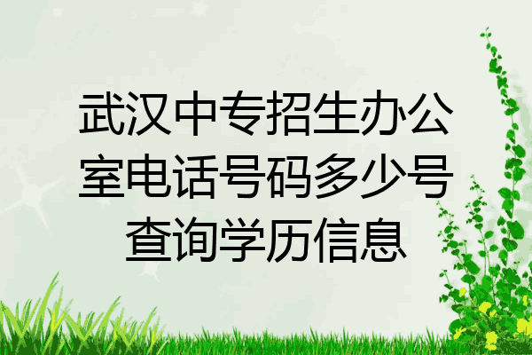 武汉中专招生办公室电话号码多少号查询学历信息