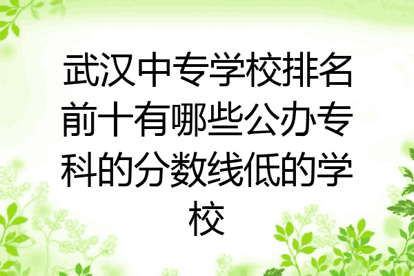 武汉中专学校排名前十有哪些公办专科的分数线低的学校