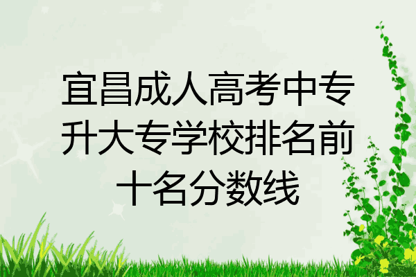 宜昌成人高考中专升大专学校排名前十名分数线
